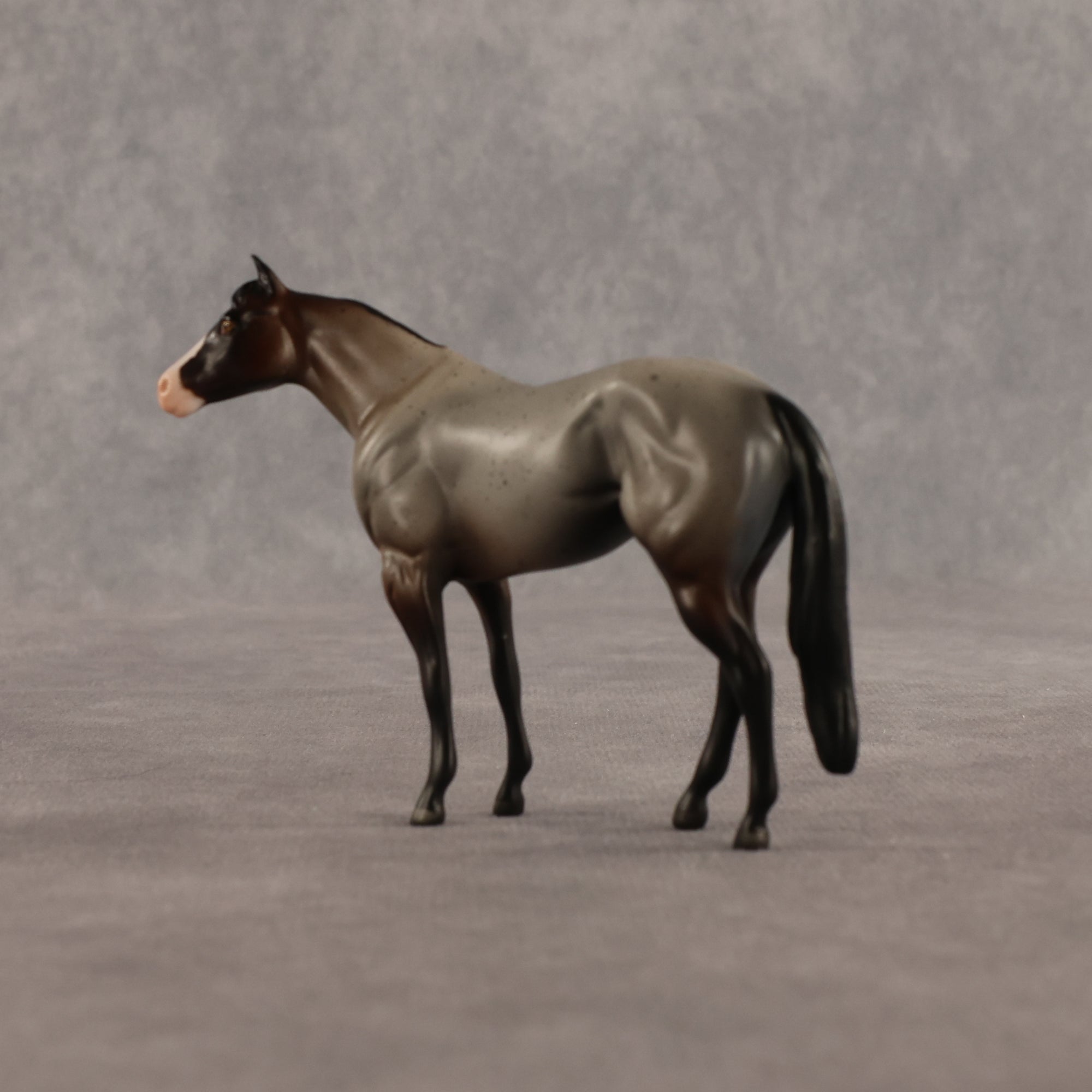 Cookie &amp; Chocolate Chip OOAK Chip FCM Stock Horse &amp; Chip Foal by Anna Rieck SCD26