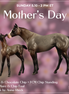 Cookie & Chocolate Chip OOAK Chip FCM Stock Horse & Chip Foal by Anna Rieck SCD26