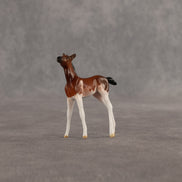 Penny & Copper OOAK Chip FCM Stock Horse & Chip Foal by Anna Rieck SCD26
