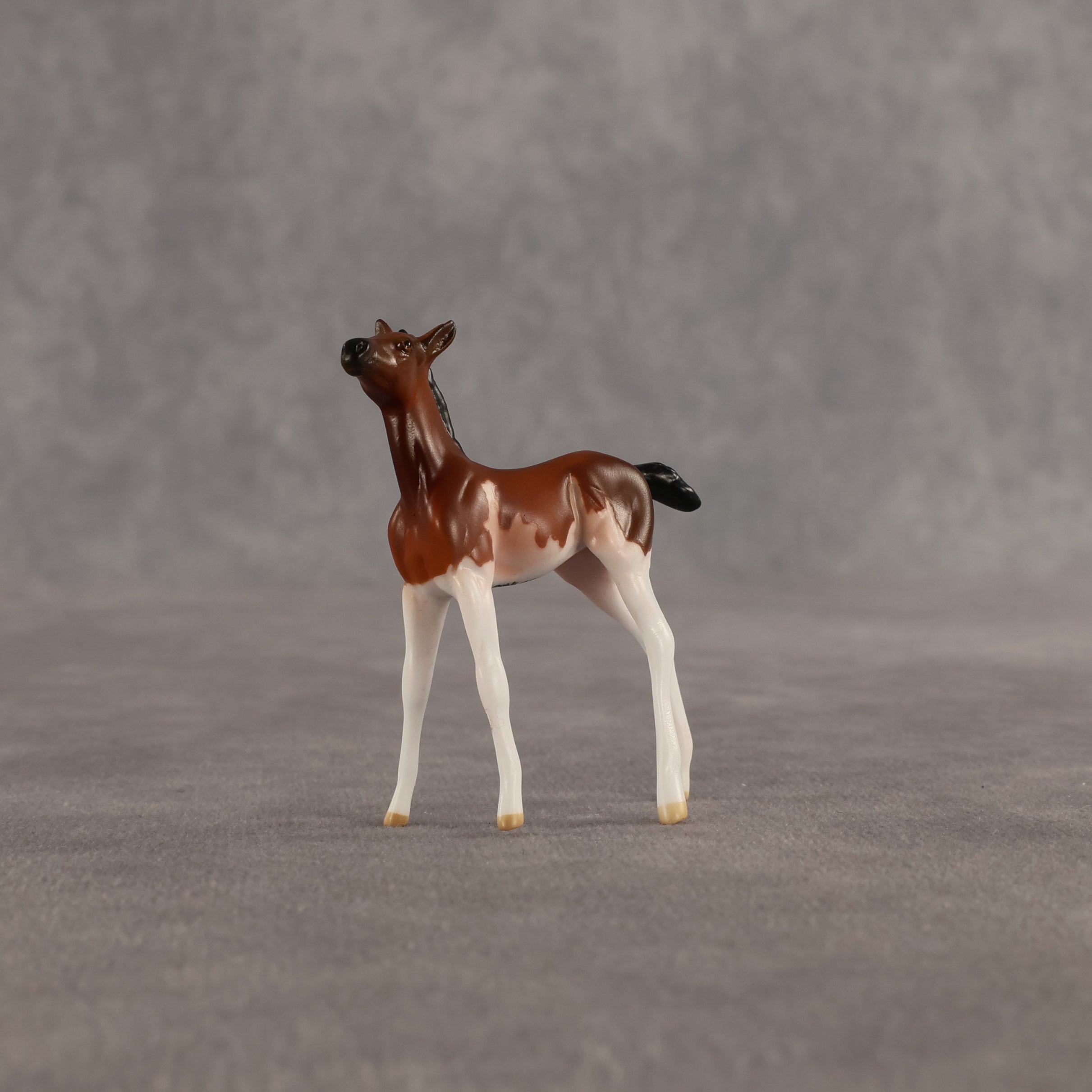 Penny & Copper OOAK Chip FCM Stock Horse & Chip Foal by Anna Rieck SCD26