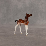 Penny & Copper OOAK Chip FCM Stock Horse & Chip Foal by Anna Rieck SCD26