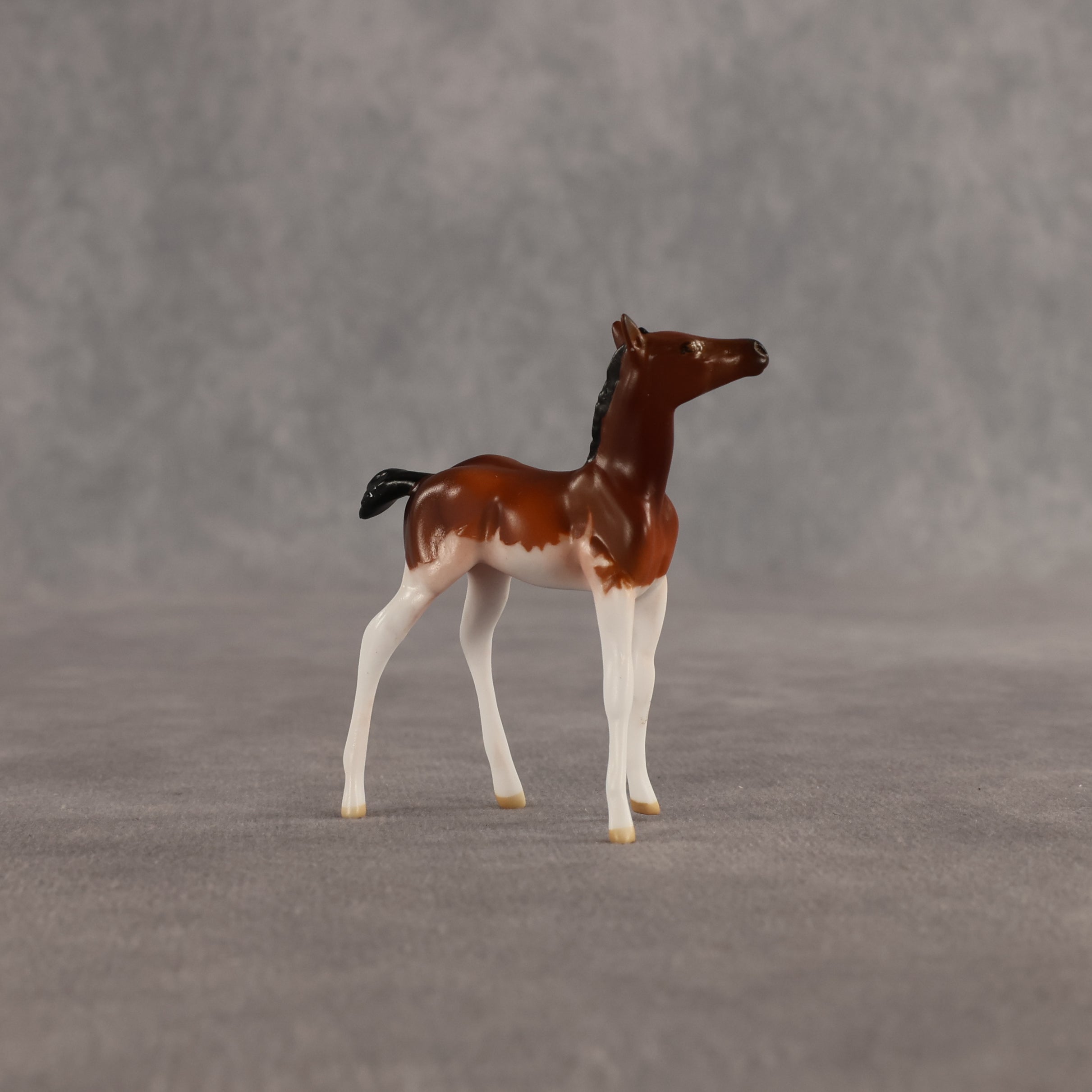 Penny & Copper OOAK Chip FCM Stock Horse & Chip Foal by Anna Rieck SCD26