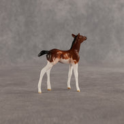 Penny & Copper OOAK Chip FCM Stock Horse & Chip Foal by Anna Rieck SCD26