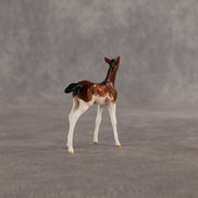 Penny & Copper OOAK Chip FCM Stock Horse & Chip Foal by Anna Rieck SCD26