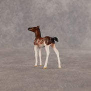 Penny & Copper OOAK Chip FCM Stock Horse & Chip Foal by Anna Rieck SCD26
