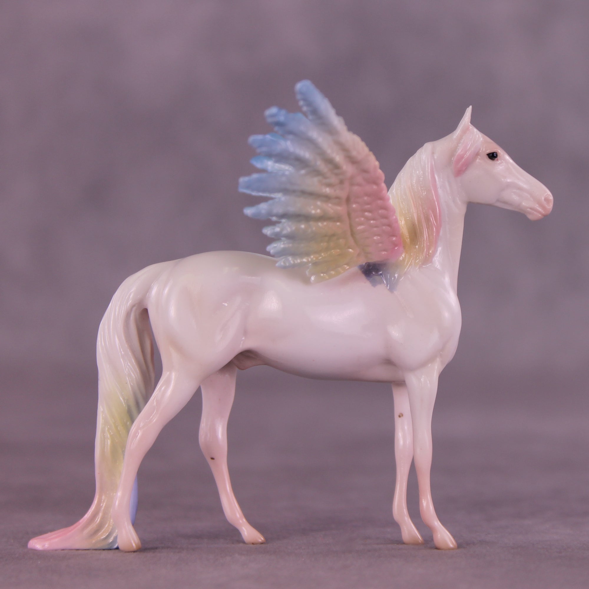 Corvus Acolyte EFCM Chip Morgan by Pernille F. Bøllingtoft Bøjsen 11/25/2025 SS1125