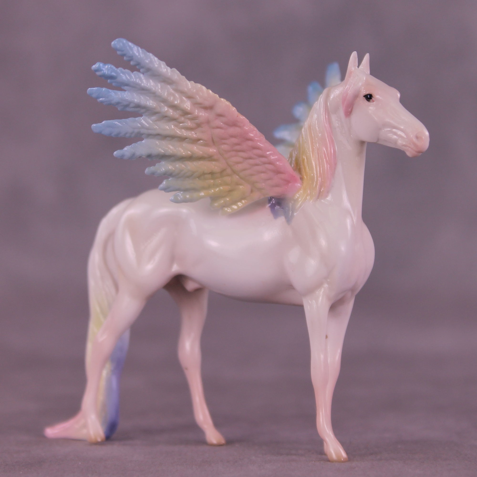 Corvus Acolyte EFCM Chip Morgan by Pernille F. Bøllingtoft Bøjsen 11/25/2025 SS1125