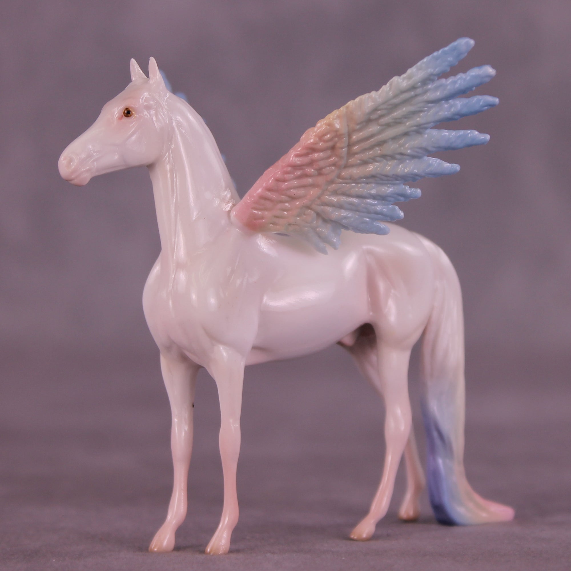 Corvus Acolyte EFCM Chip Morgan by Pernille F. Bøllingtoft Bøjsen 11/25/2025 SS1125