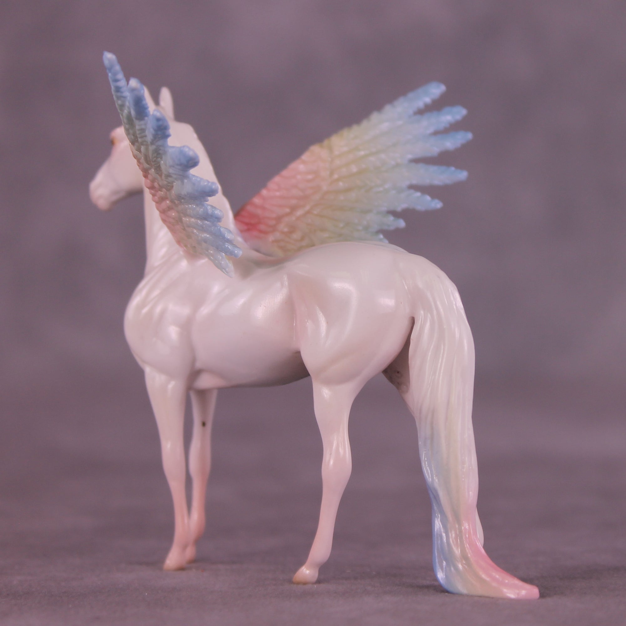 Corvus Acolyte EFCM Chip Morgan by Pernille F. Bøllingtoft Bøjsen 11/25/2025 SS1125