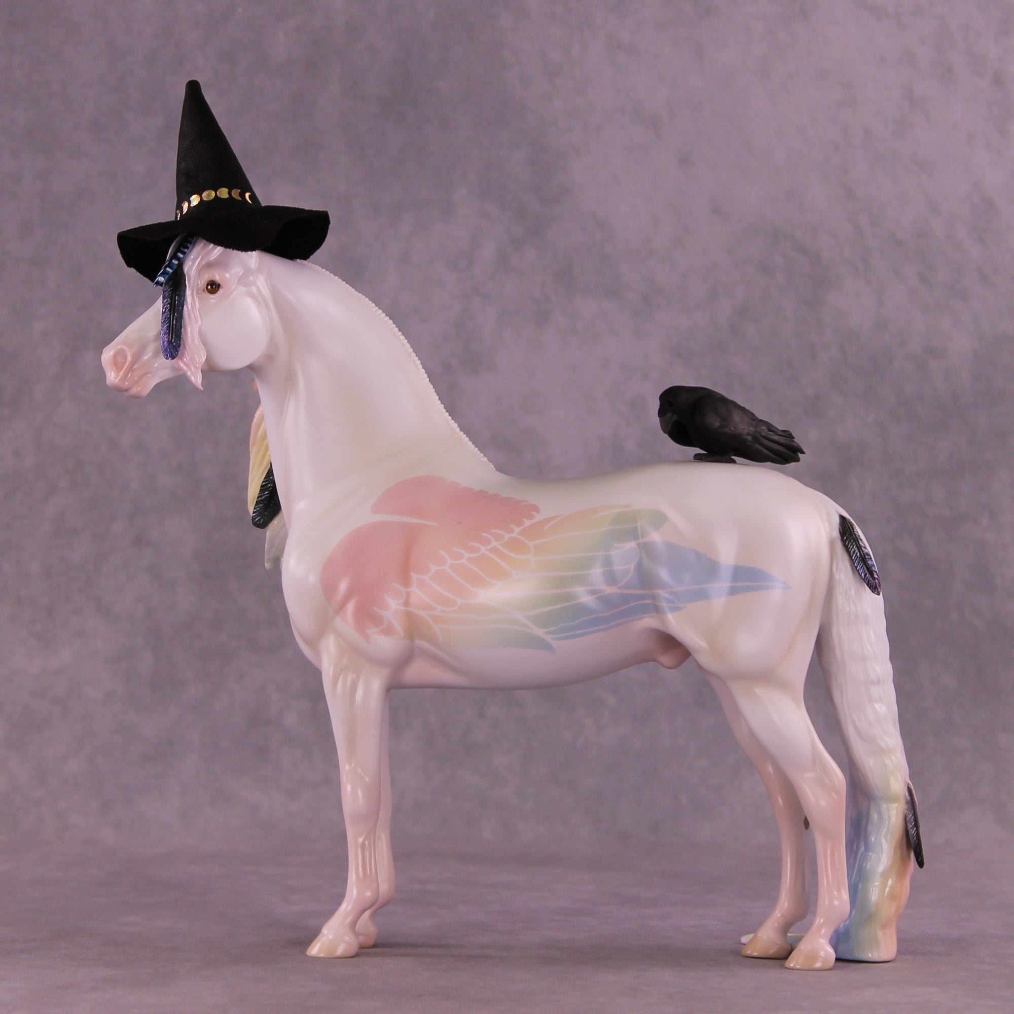 Corvus Master FCM Morgan by Pernille F. Bøllingtoft Bøjsen 11/25/2025 SS1125