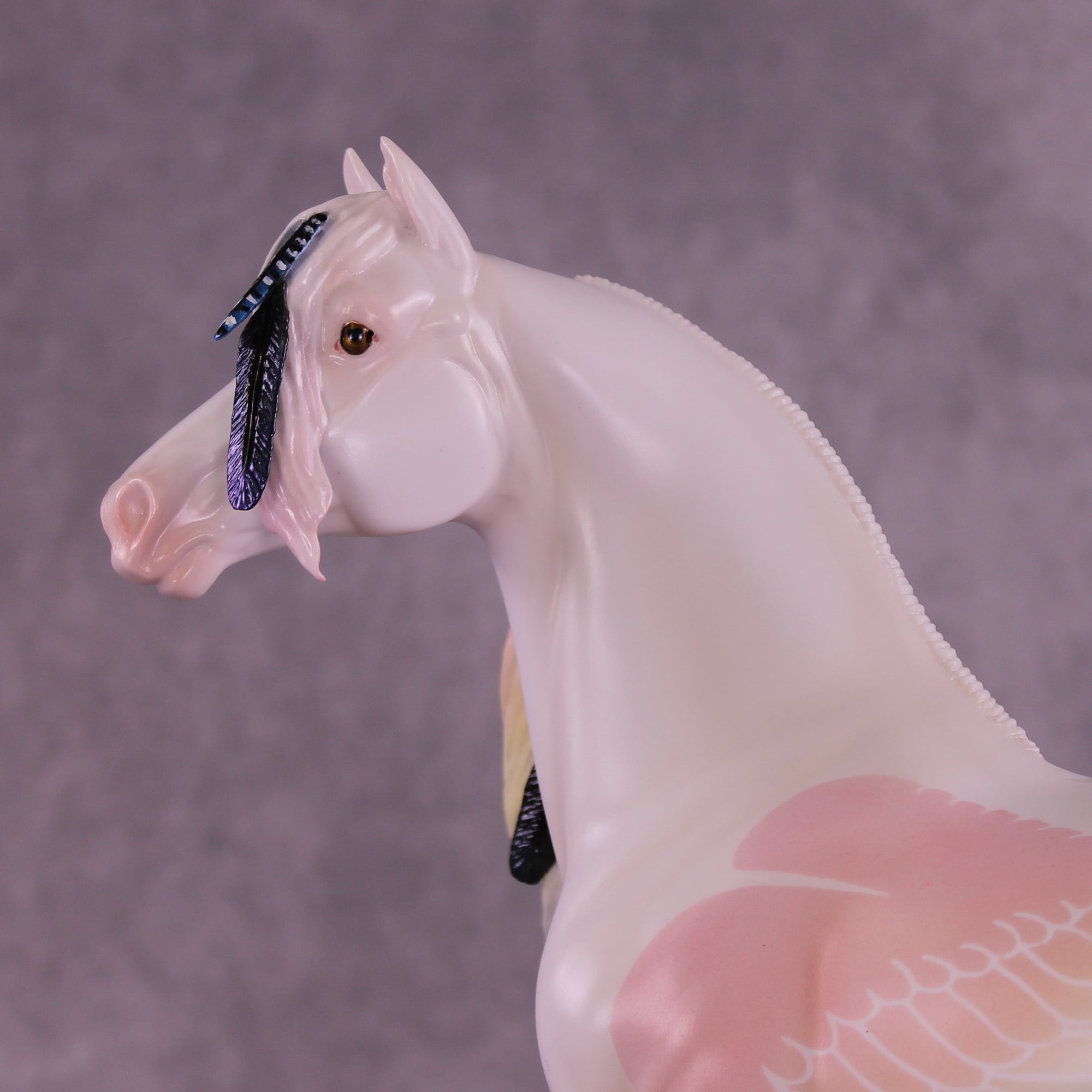 Corvus Master FCM Morgan by Pernille F. Bøllingtoft Bøjsen 11/25/2025 SS1125