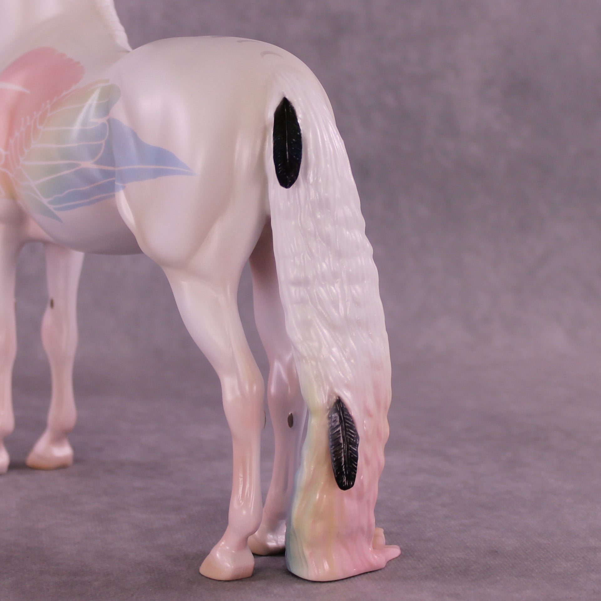 Corvus Master FCM Morgan by Pernille F. Bøllingtoft Bøjsen 11/25/2025 SS1125