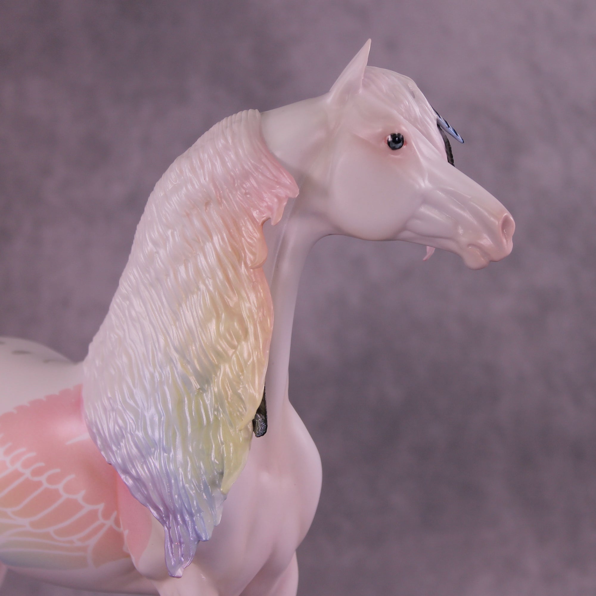 Corvus Master FCM Morgan by Pernille F. Bøllingtoft Bøjsen 11/25/2025 SS1125