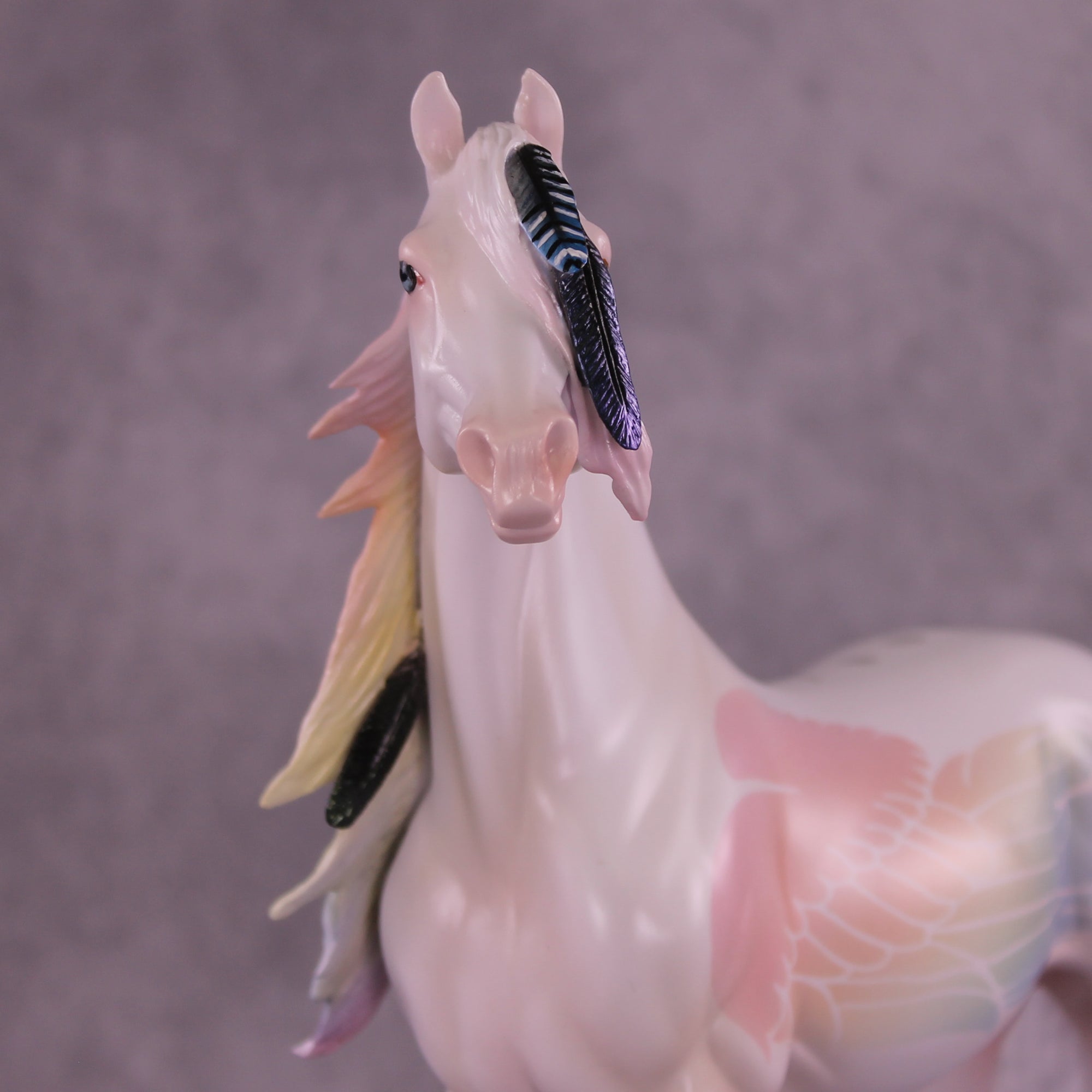 Corvus Master FCM Morgan by Pernille F. Bøllingtoft Bøjsen 11/25/2025 SS1125