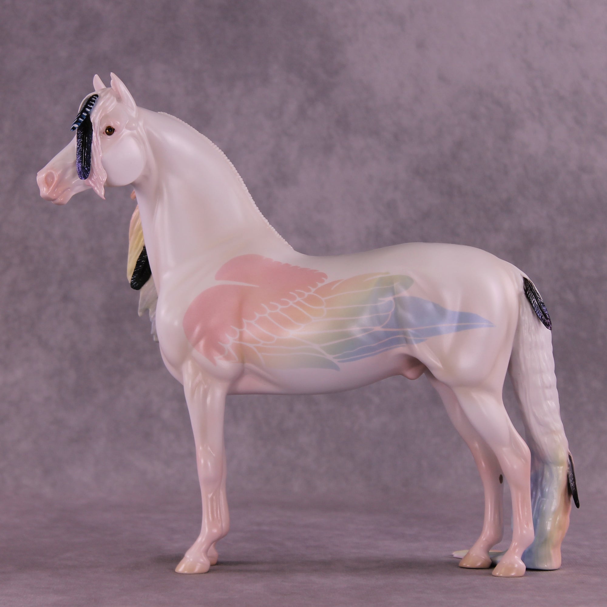 Corvus Master FCM Morgan by Pernille F. Bøllingtoft Bøjsen 11/25/2025 SS1125