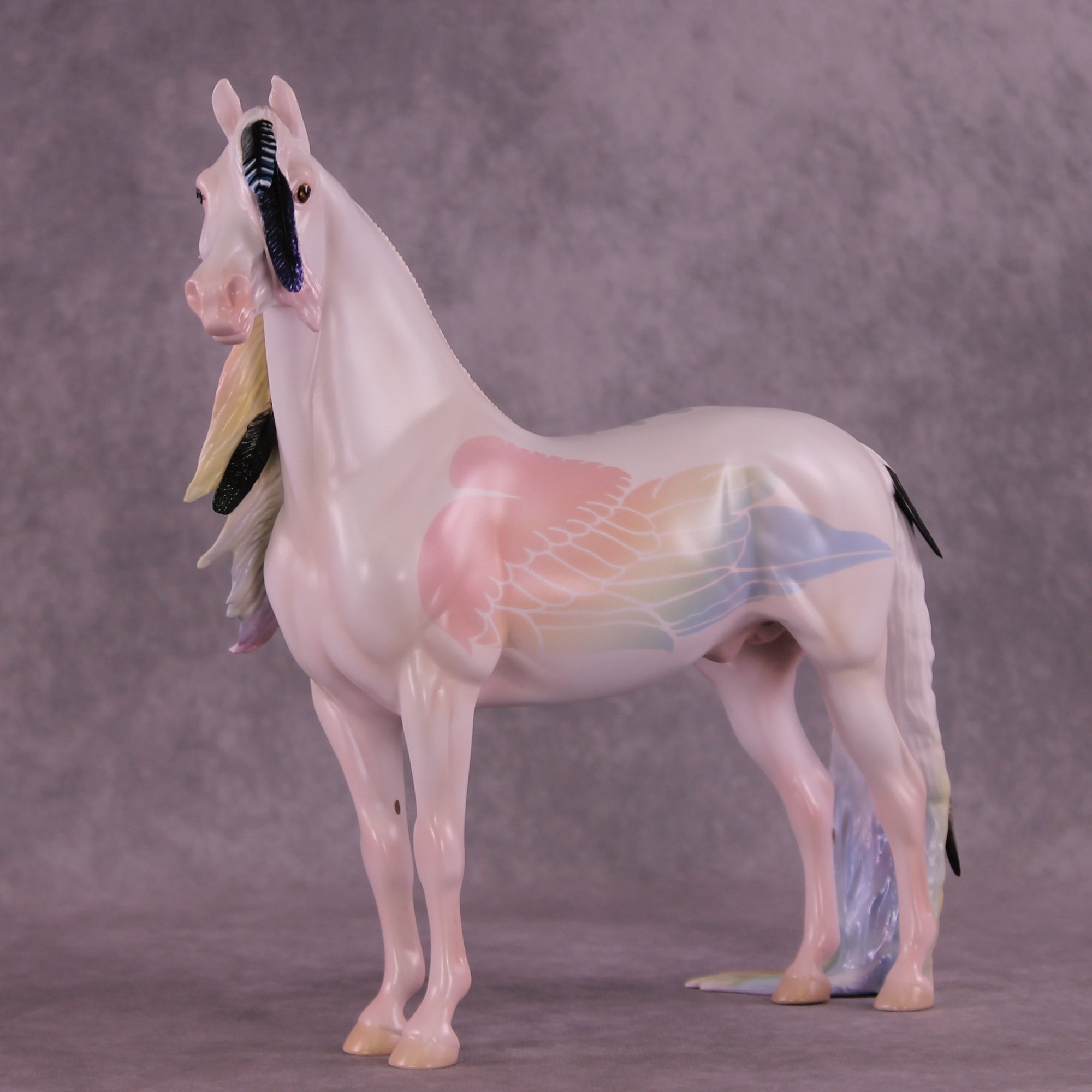 Corvus Master FCM Morgan by Pernille F. Bøllingtoft Bøjsen 11/25/2025 SS1125