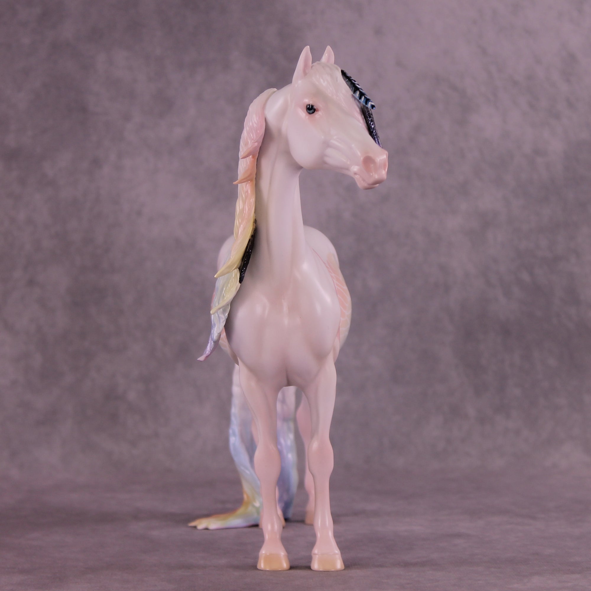 Corvus Master FCM Morgan by Pernille F. Bøllingtoft Bøjsen 11/25/2025 SS1125