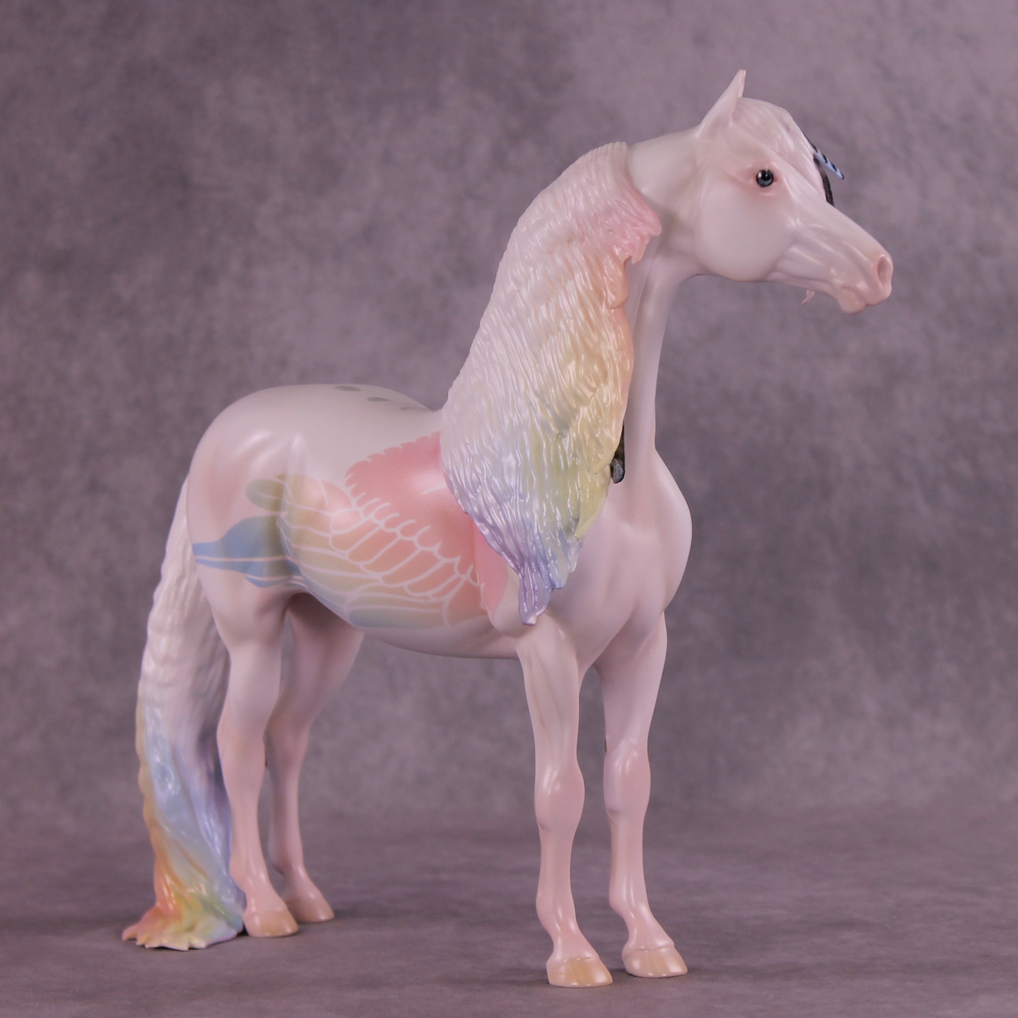 Corvus Master FCM Morgan by Pernille F. Bøllingtoft Bøjsen 11/25/2025 SS1125