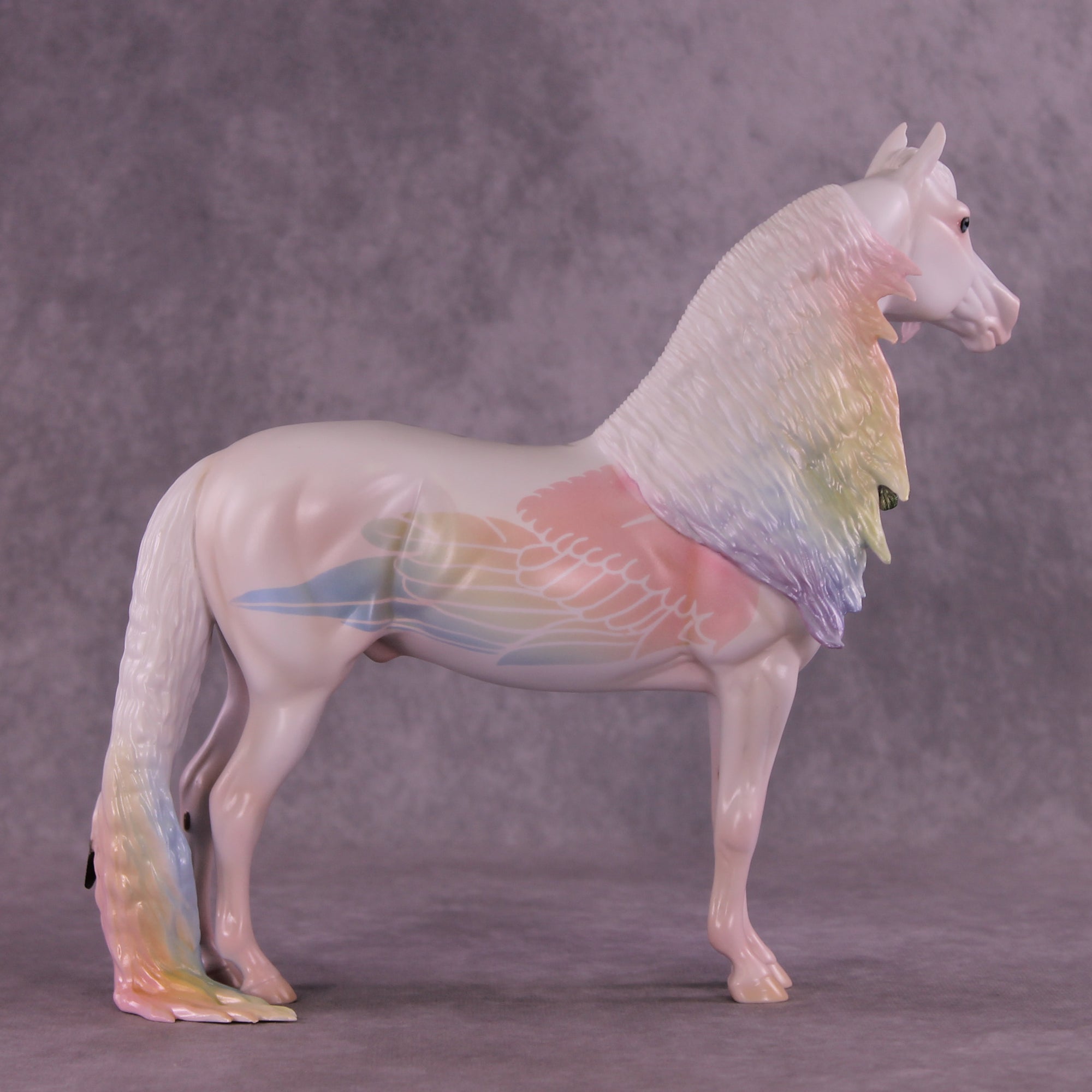 Corvus Master FCM Morgan by Pernille F. Bøllingtoft Bøjsen 11/25/2025 SS1125