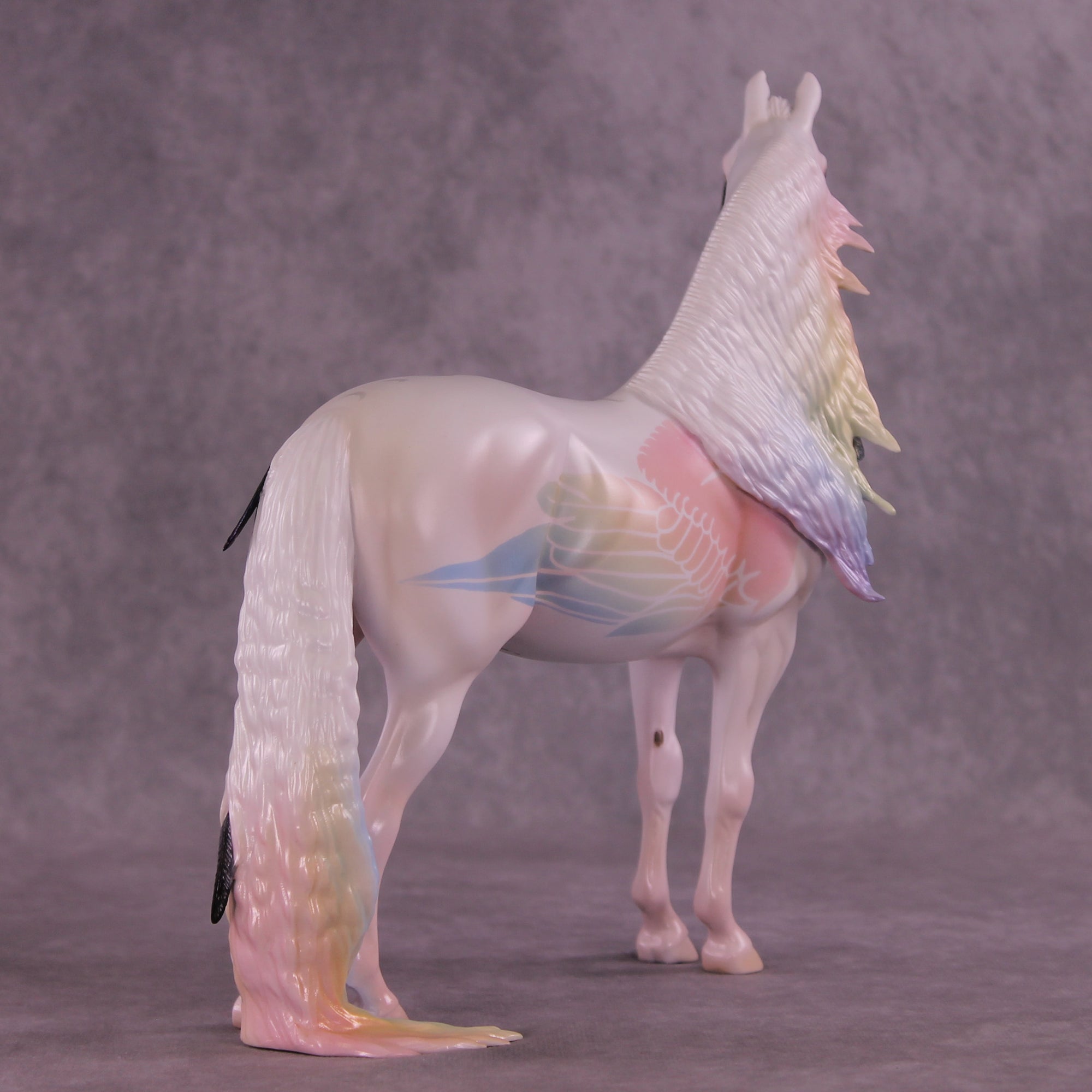 Corvus Master FCM Morgan by Pernille F. Bøllingtoft Bøjsen 11/25/2025 SS1125