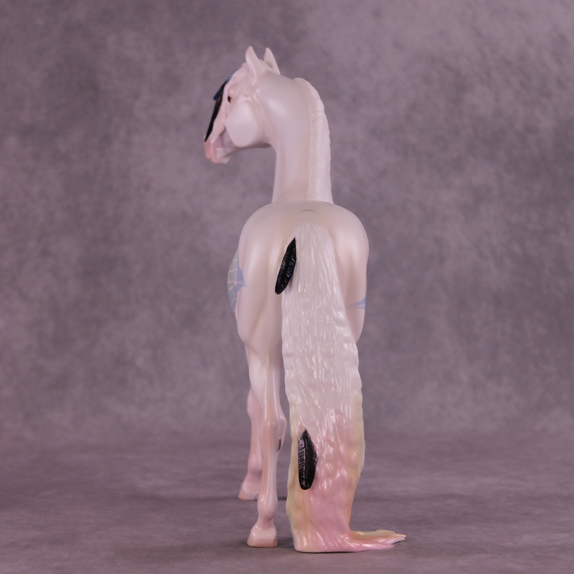 Corvus Master FCM Morgan by Pernille F. Bøllingtoft Bøjsen 11/25/2025 SS1125