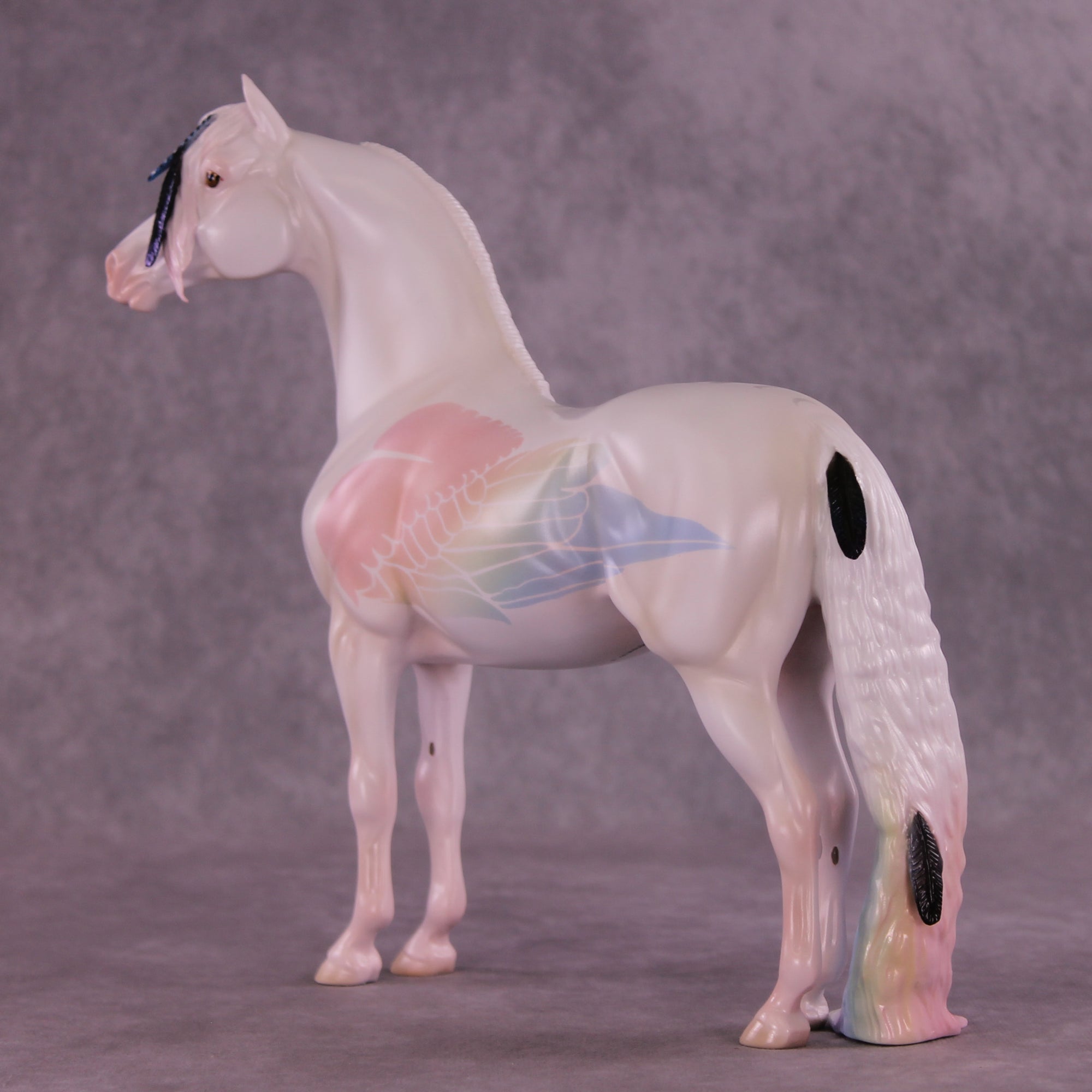 Corvus Master FCM Morgan by Pernille F. Bøllingtoft Bøjsen 11/25/2025 SS1125