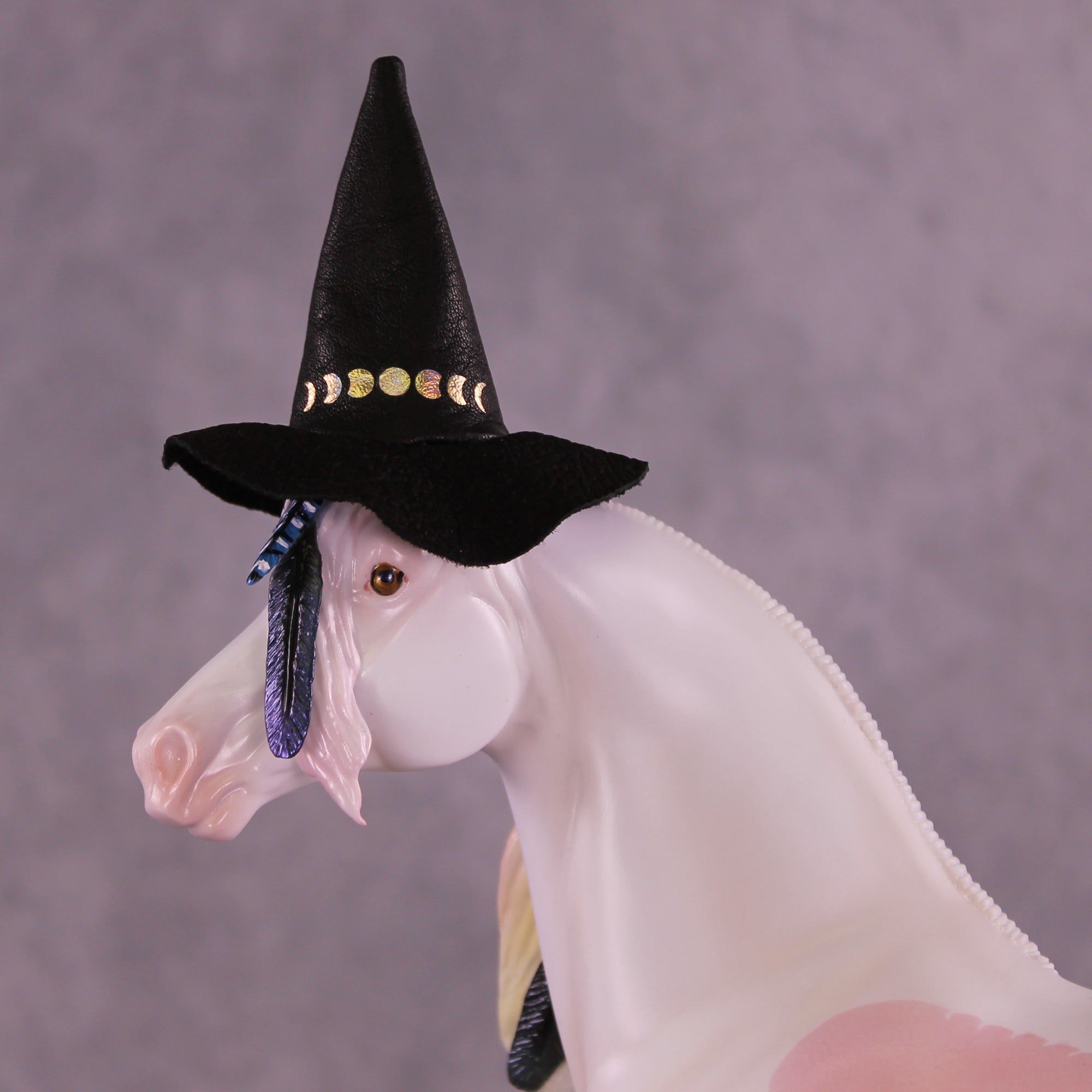 Corvus Master FCM Morgan by Pernille F. Bøllingtoft Bøjsen 11/25/2025 SS1125