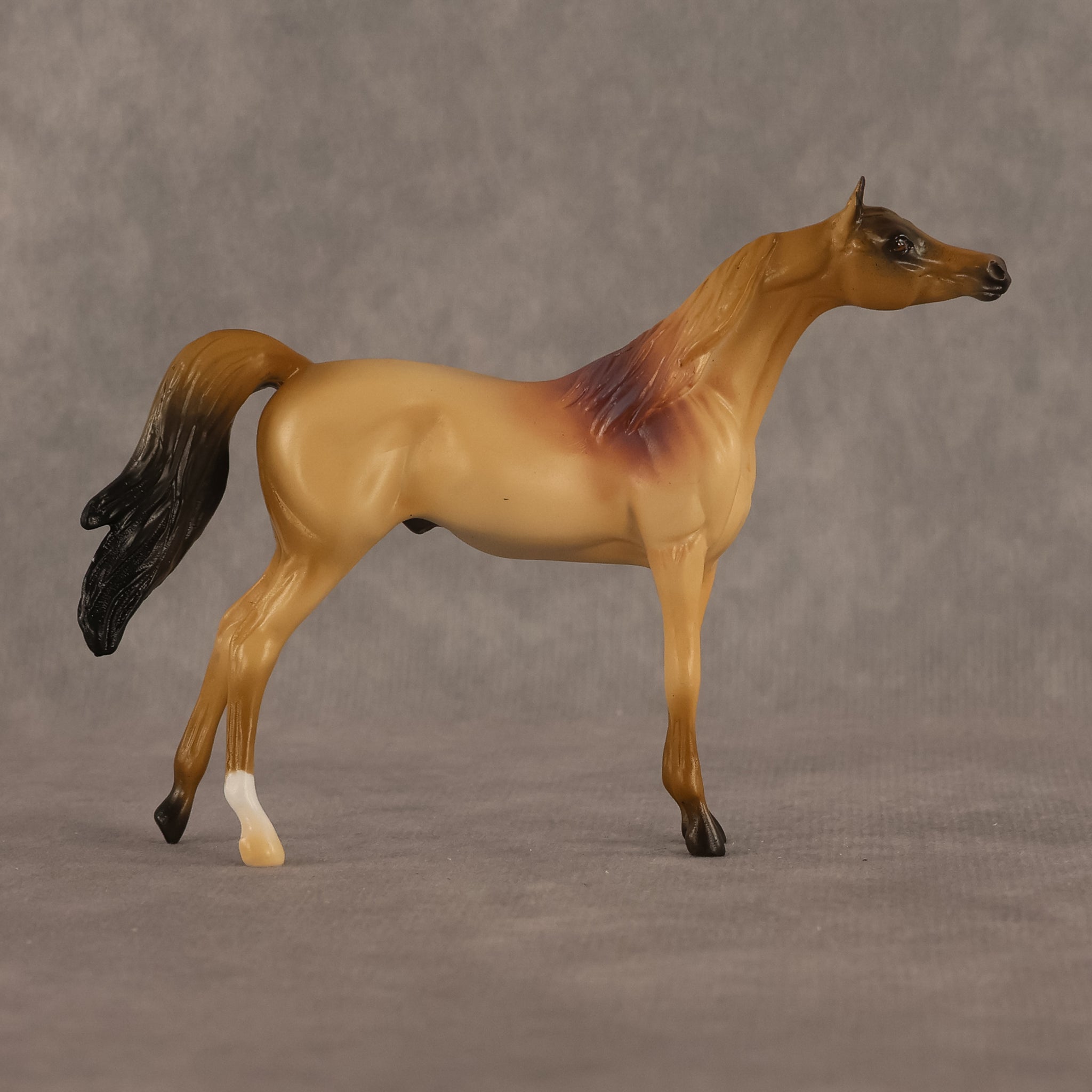 Corwin LE-5 Chip Arabian by Alex Fortman August $99 Chips