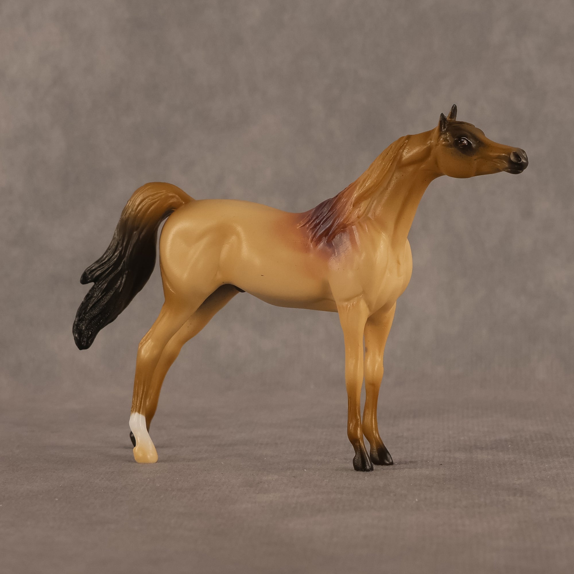 Corwin LE-5 Chip Arabian by Alex Fortman August $99 Chips