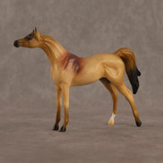 Corwin LE-5 Chip Arabian by Alex Fortman August $99 Chips
