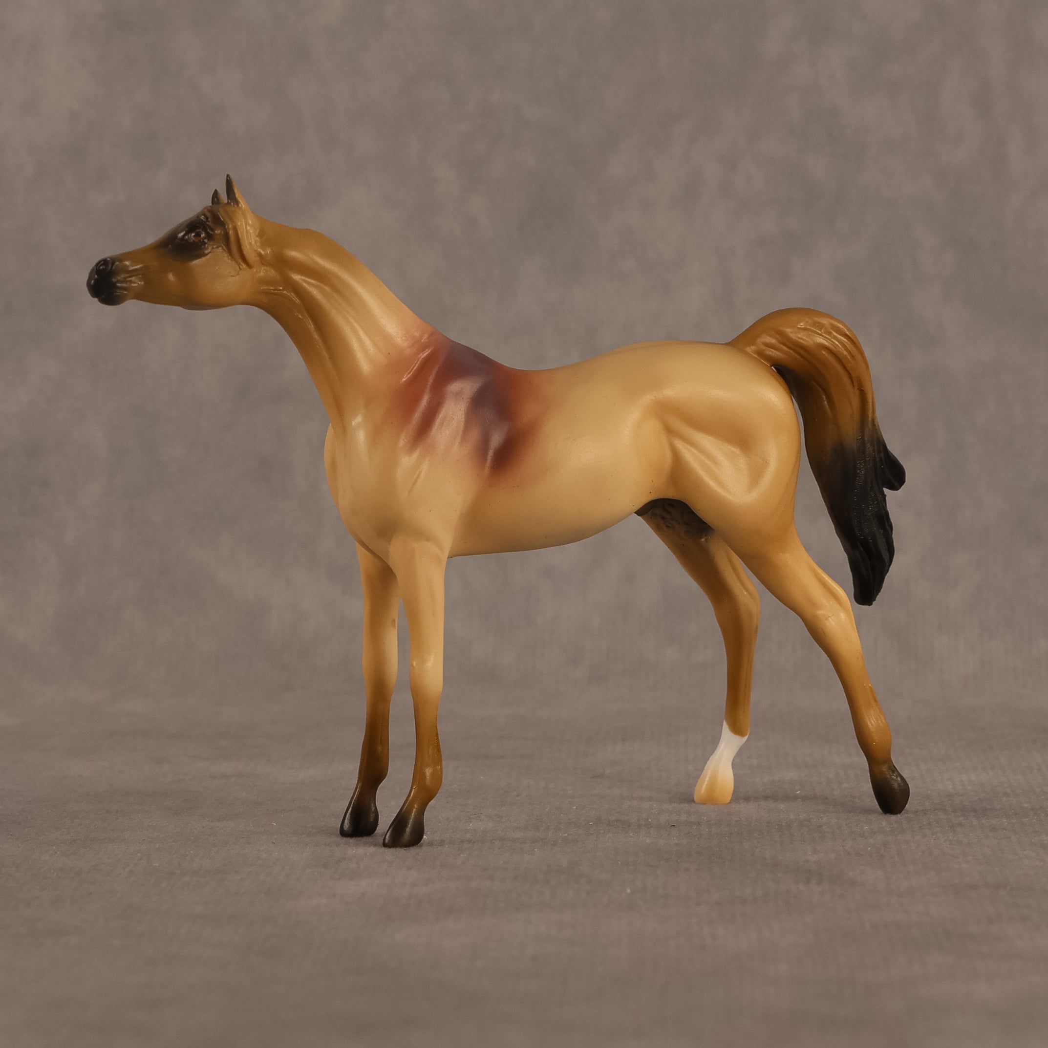 Corwin LE-5 Chip Arabian by Alex Fortman August $99 Chips