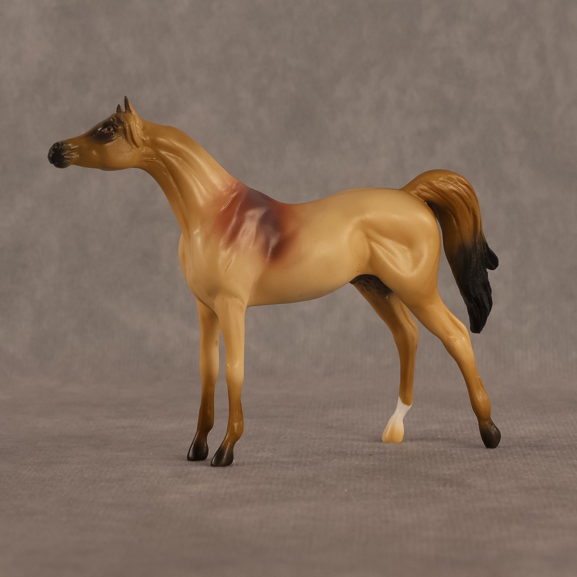 Corwin LE-5 Chip Arabian by Alex Fortman August $99 Chips