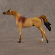 Corwin LE-5 Chip Arabian by Alex Fortman August $99 Chips