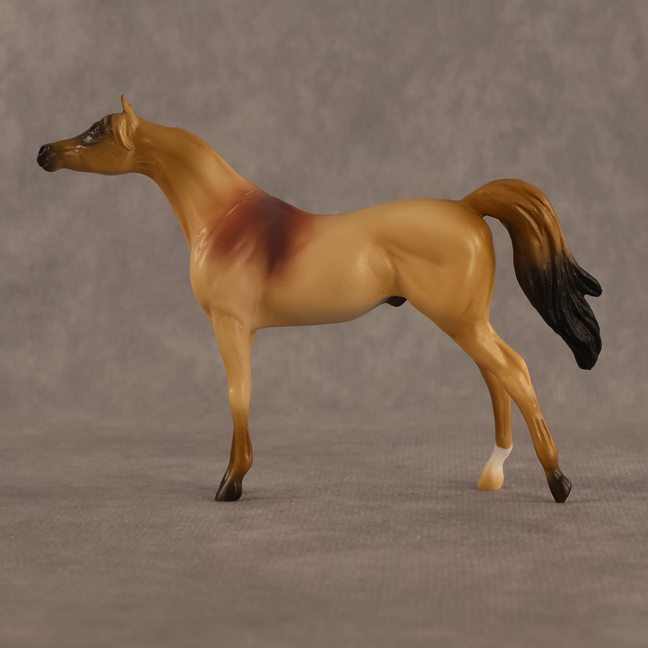Corwin LE-5 Chip Arabian by Alex Fortman August $99 Chips