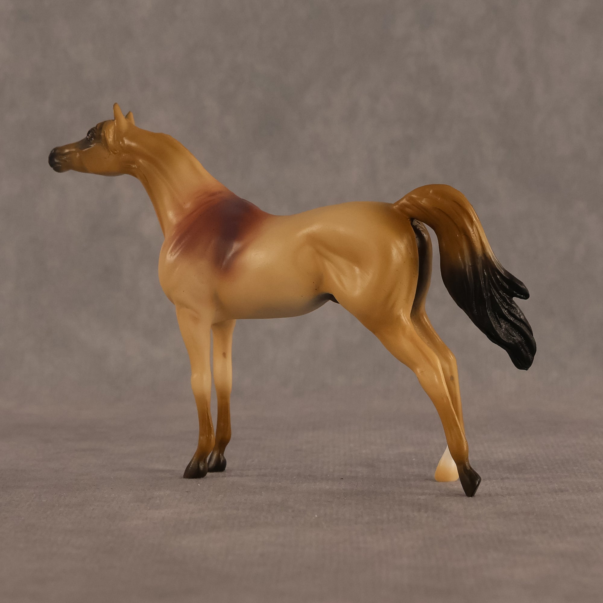 Corwin LE-5 Chip Arabian by Alex Fortman August $99 Chips