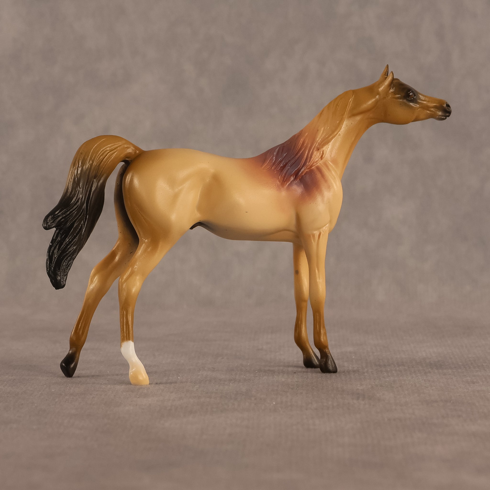 Corwin LE-5 Chip Arabian by Alex Fortman August $99 Chips