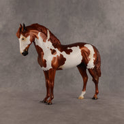 Cosmo OOAK FCM Andalusian by Anna Rieck SHCF26