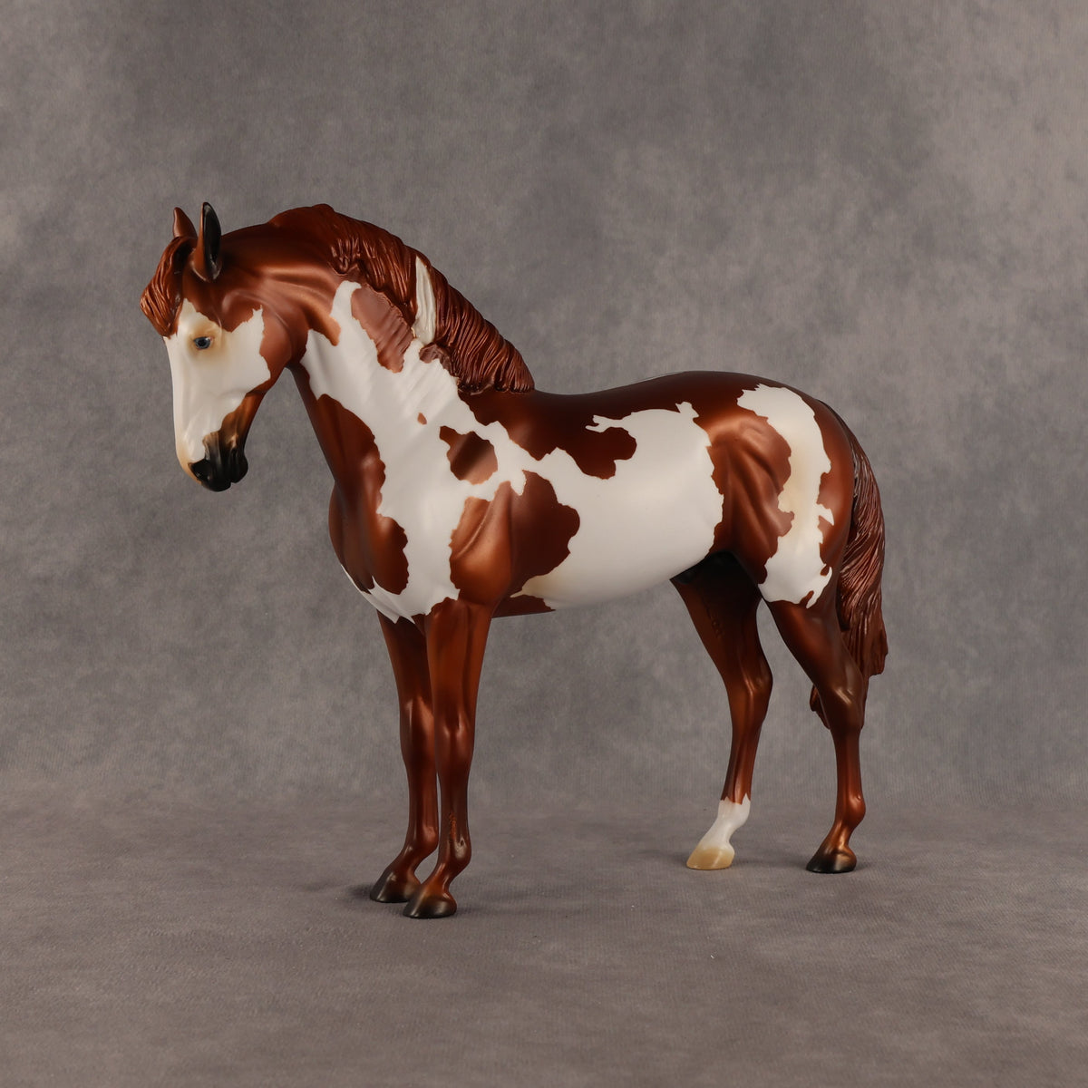Cosmo OOAK FCM Andalusian by Anna Rieck SHCF26
