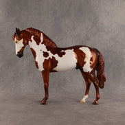 Cosmo OOAK FCM Andalusian by Anna Rieck SHCF26