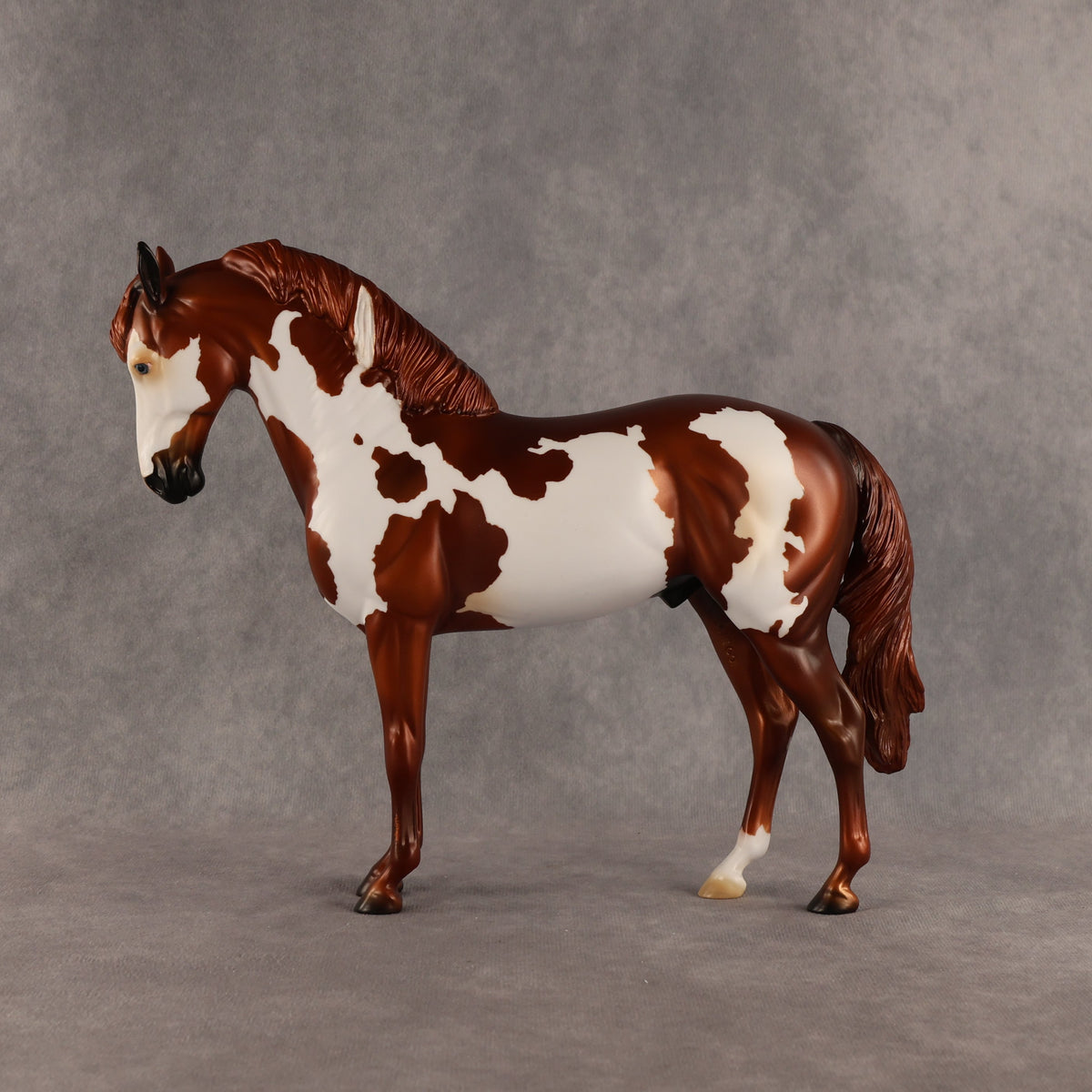 Cosmo OOAK FCM Andalusian by Anna Rieck SHCF26