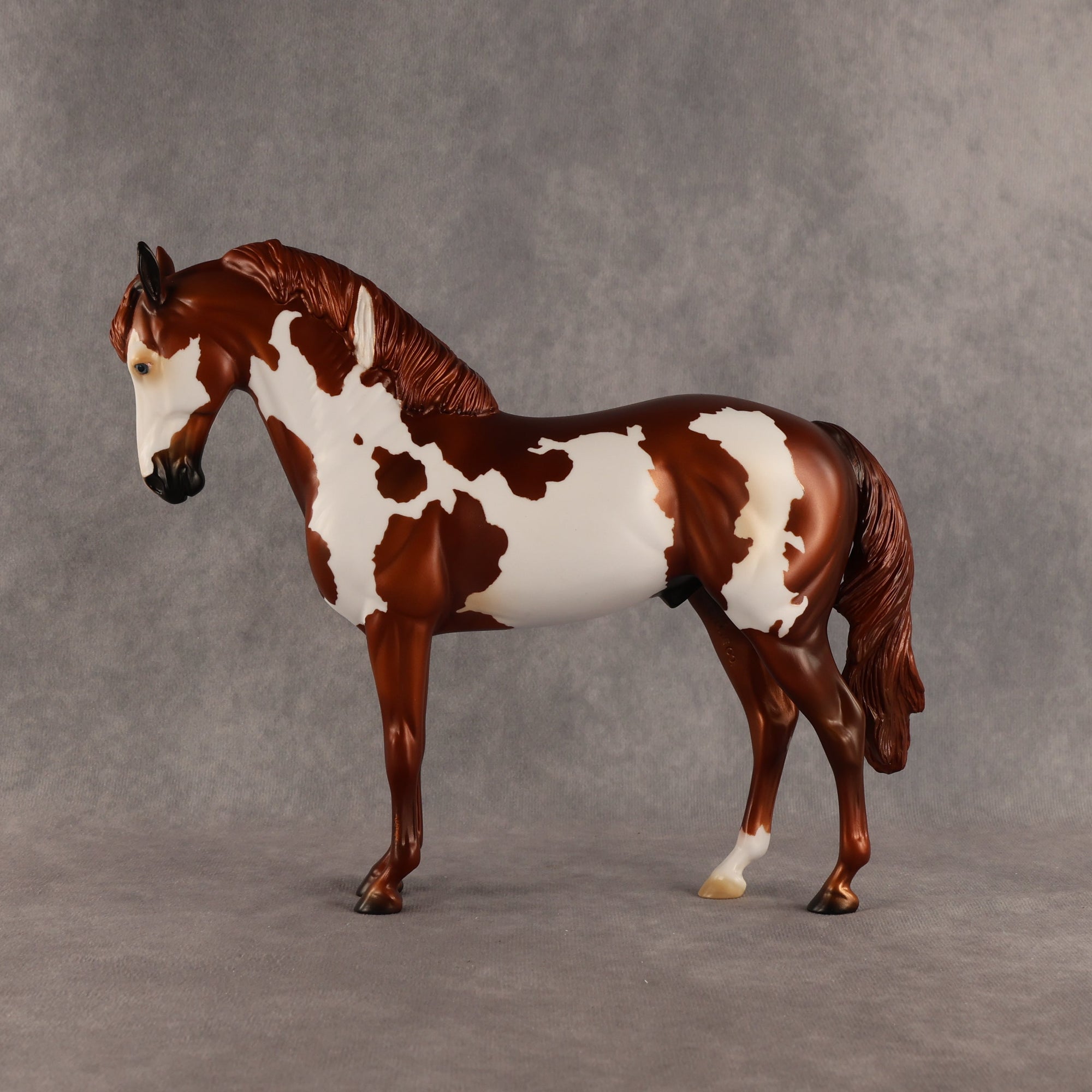 Cosmo OOAK FCM Andalusian by Anna Rieck SHCF26
