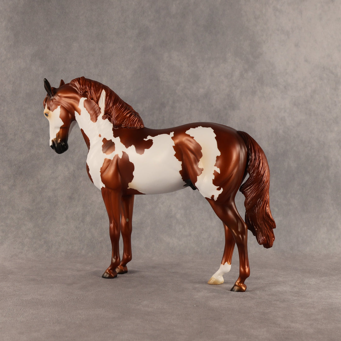 Cosmo OOAK FCM Andalusian by Anna Rieck SHCF26