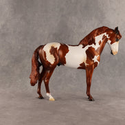 Cosmo OOAK FCM Andalusian by Anna Rieck SHCF26