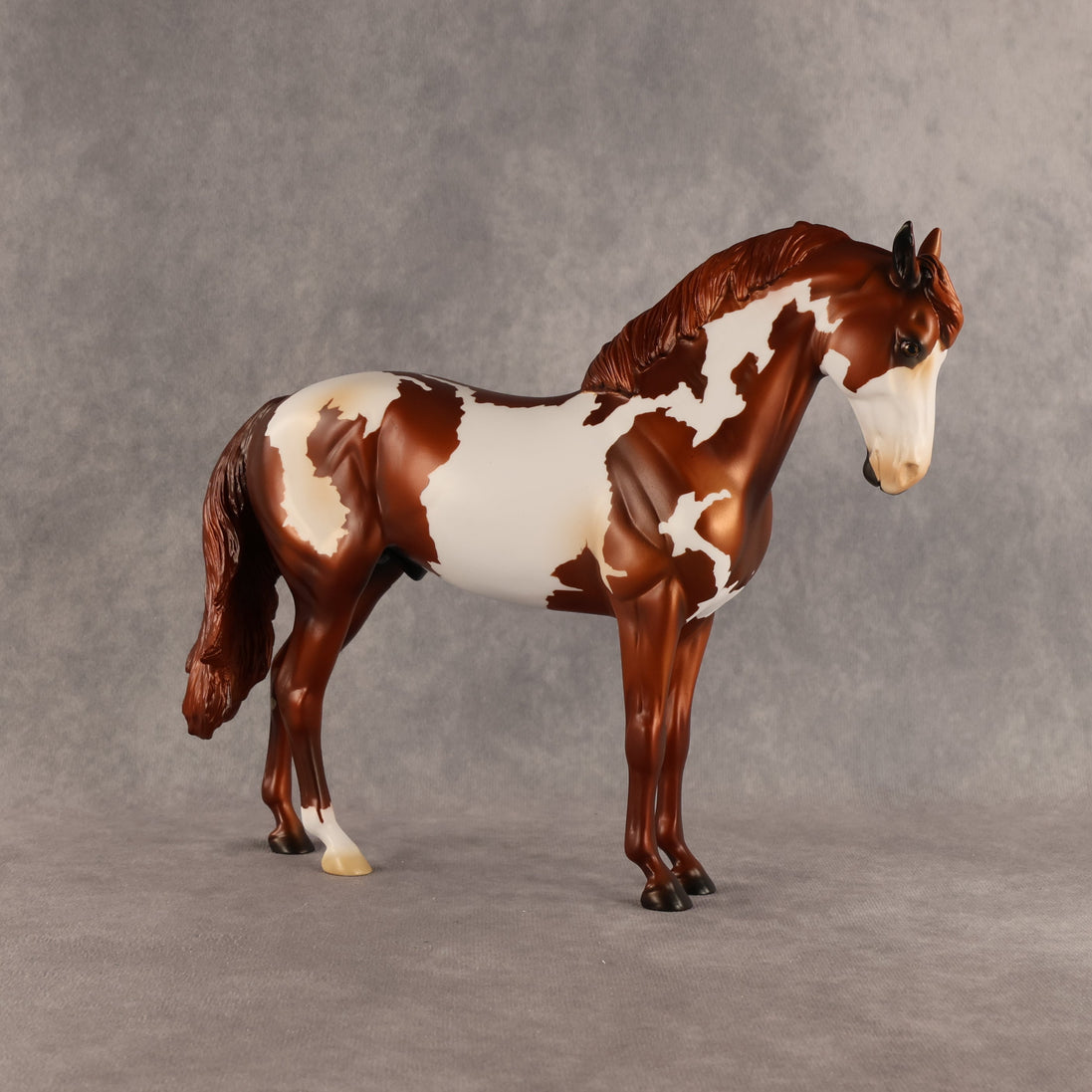Cosmo OOAK FCM Andalusian by Anna Rieck SHCF26