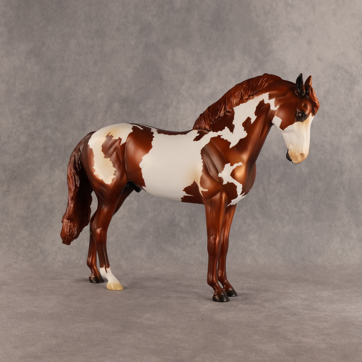 Cosmo OOAK FCM Andalusian by Anna Rieck SHCF26