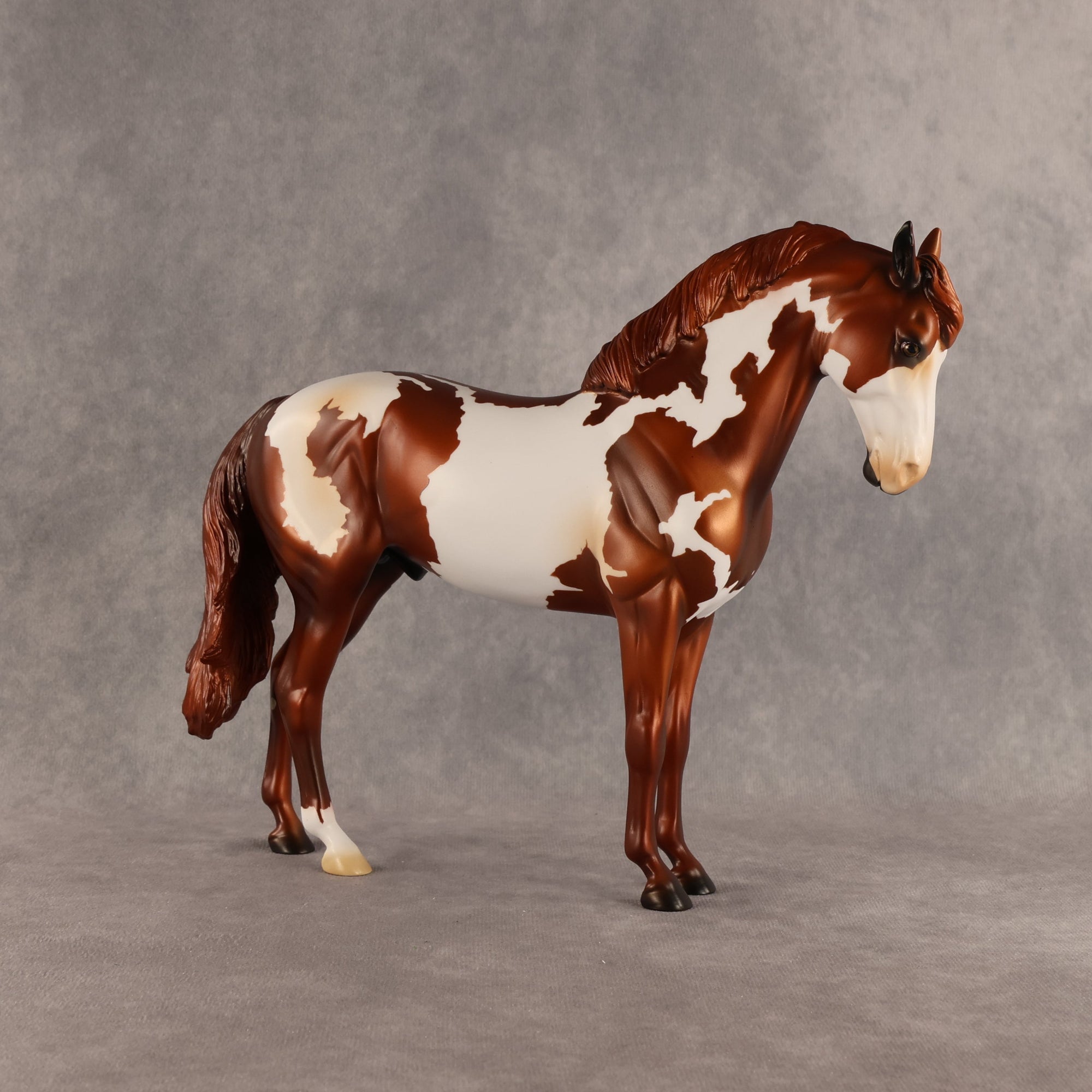 Cosmo OOAK FCM Andalusian by Anna Rieck SHCF26