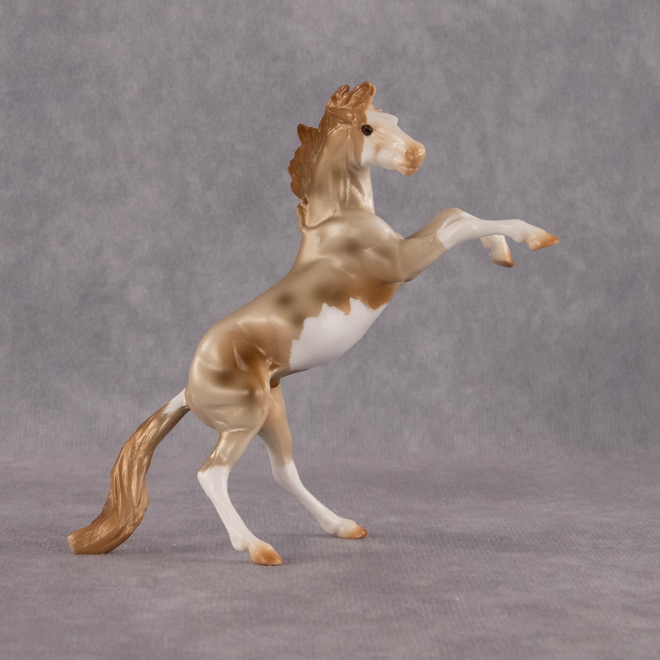 Cosmo OOAK Chip Mustang by Anna Rieck EQ26