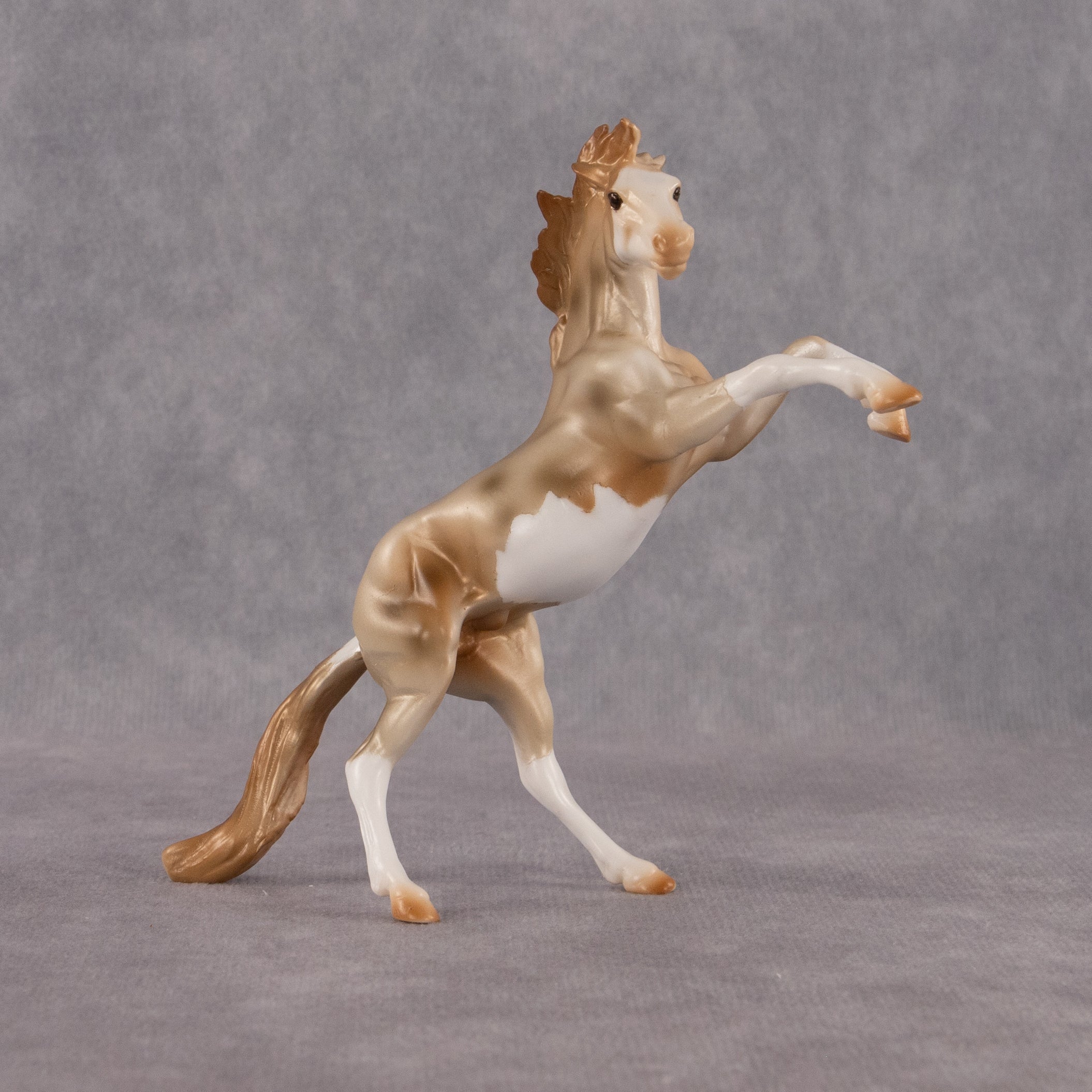 Cosmo OOAK Chip Mustang by Anna Rieck EQ26