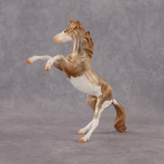 Cosmo OOAK Chip Mustang by Anna Rieck EQ26