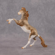 Cosmo OOAK Chip Mustang by Anna Rieck EQ26